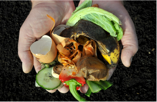 Food Waste Prevention Programs