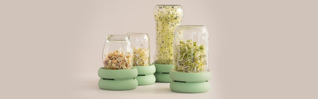 Four sprout huggers side by side an eco friendly solution for sustainable kitchen.