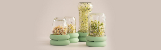 Four sprout huggers side by side an eco friendly solution for sustainable kitchen.