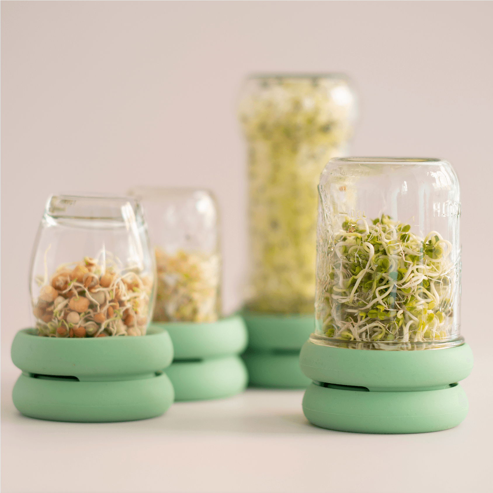 sprouts aufbewahrung Sprout Huggers