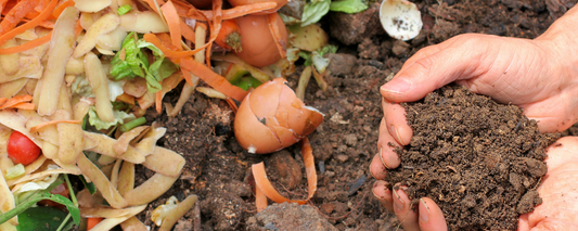 Earth in the hands of a person in the background food waste on the ground.