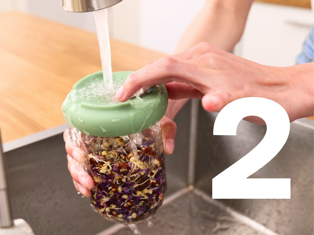 Sprout Huggers – Food Huggers