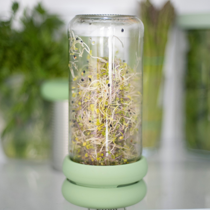 Huggers Rfe How to Sprout Huggers – Food Huggers